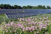 Solar Dividends solar array